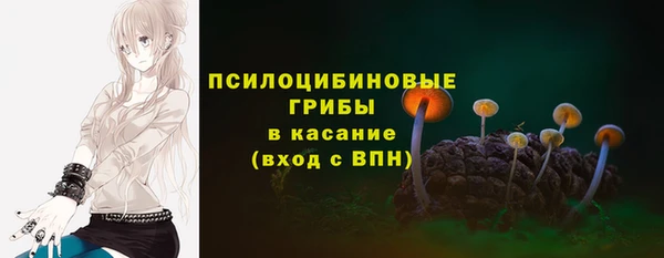 кокс Алексин