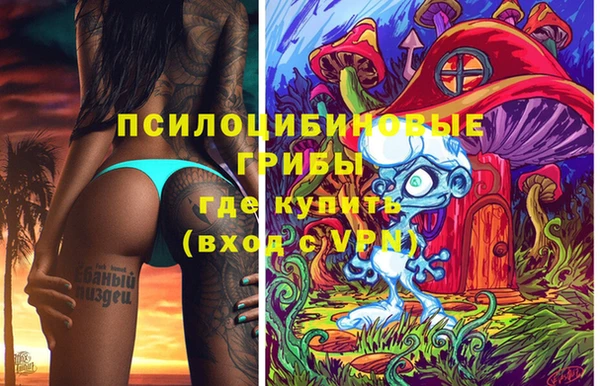 кокс Алексин