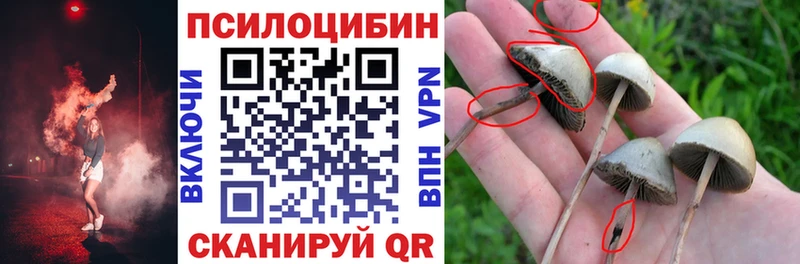 Галлюциногенные грибы MAGIC MUSHROOMS  Байкальск 